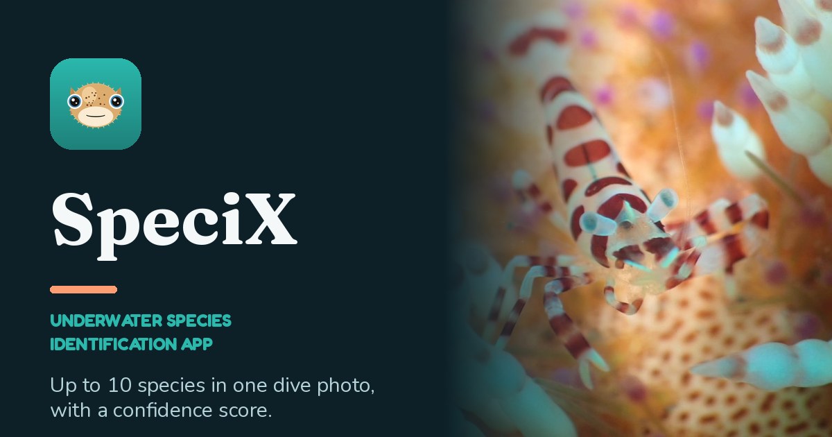 I built an app that names every species in an underwater photo
